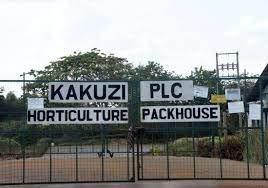 Kakuzi Plc posts Sh341.3million net profit H1 FY2022